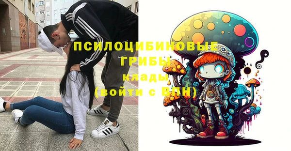 не бодяженный Пересвет