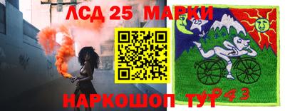 мдпв Бийск