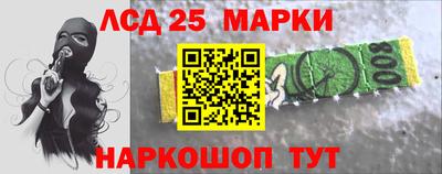 мдпв Бийск