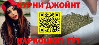 мдпв Бийск