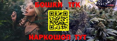 мдпв Бийск