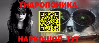 мдпв Бийск
