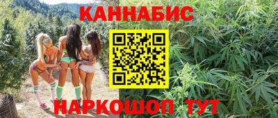 мдпв Бийск
