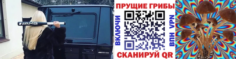 Псилоцибиновые грибы мицелий  наркота  ссылка на мегу рабочий сайт  Пятигорск 