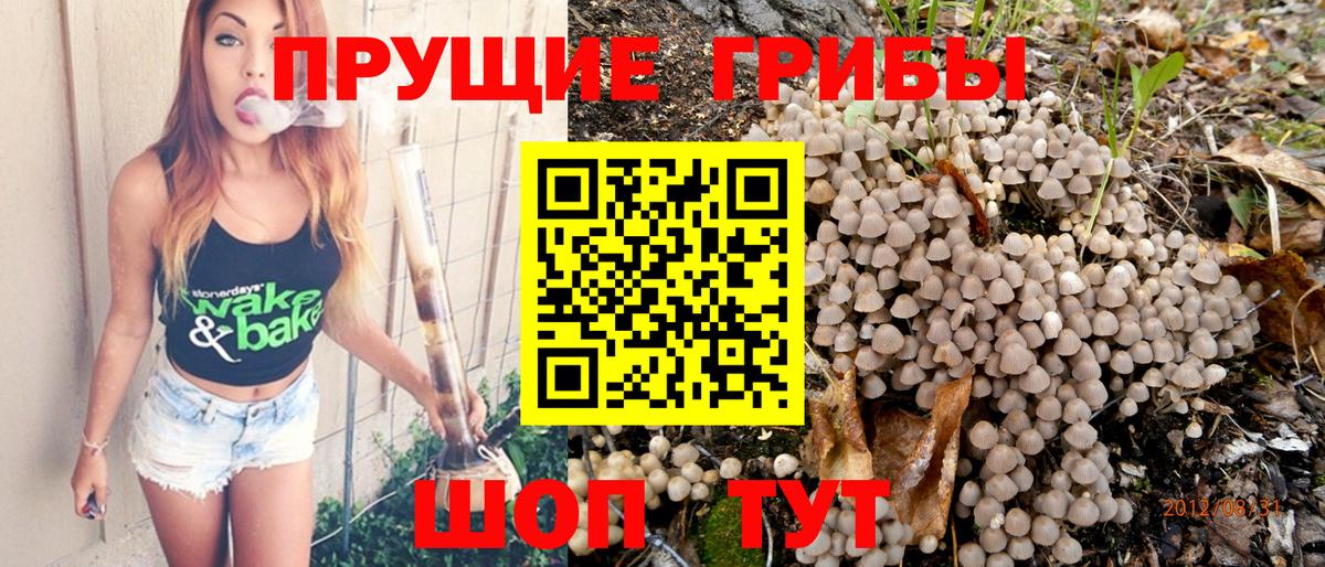 Пятигорск  Псилоцибиновые грибы ЛСД  Вход с VPN 